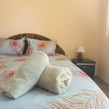 Cozy Studio Center Appartement