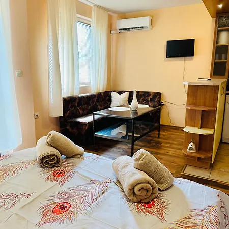 Appartement Cozy Studio Center *